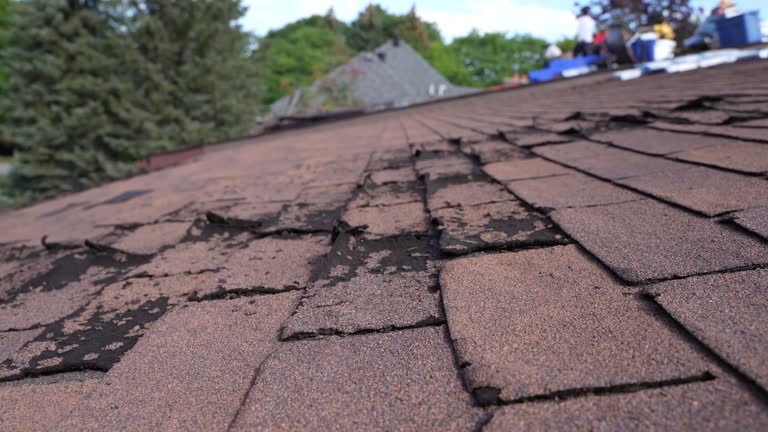 Best Tile Roofing Installation  in Paradise Valley, AZ