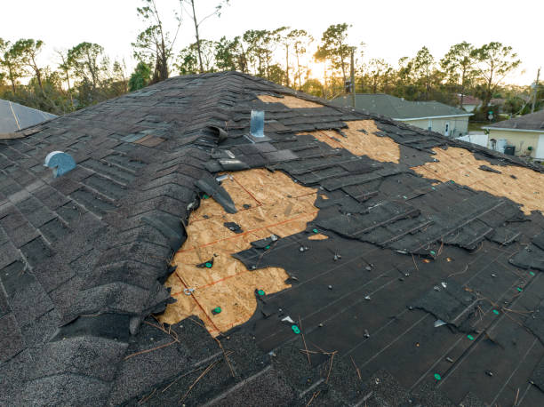 Best Rubber Roofing (EPDM, TPO)  in Paradise Valley, AZ