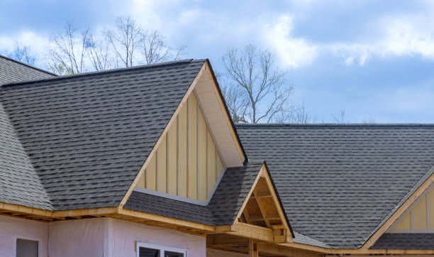 Best 4 Ply Roofing  in Paradise Valley, AZ