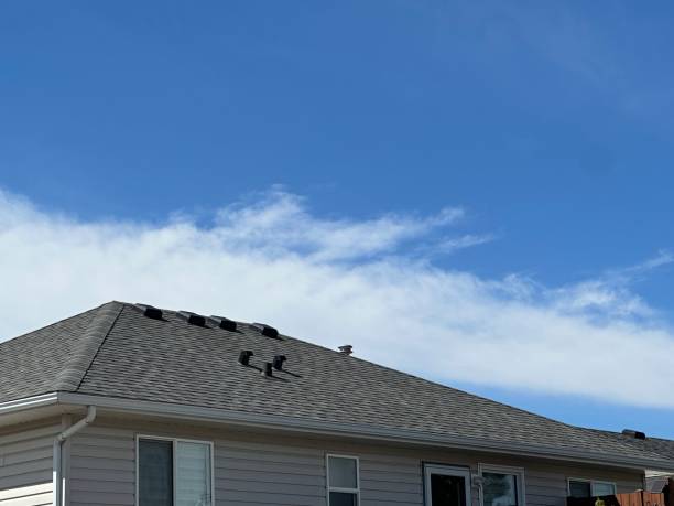 Best Storm Damage Roof Repair  in Paradise Valley, AZ